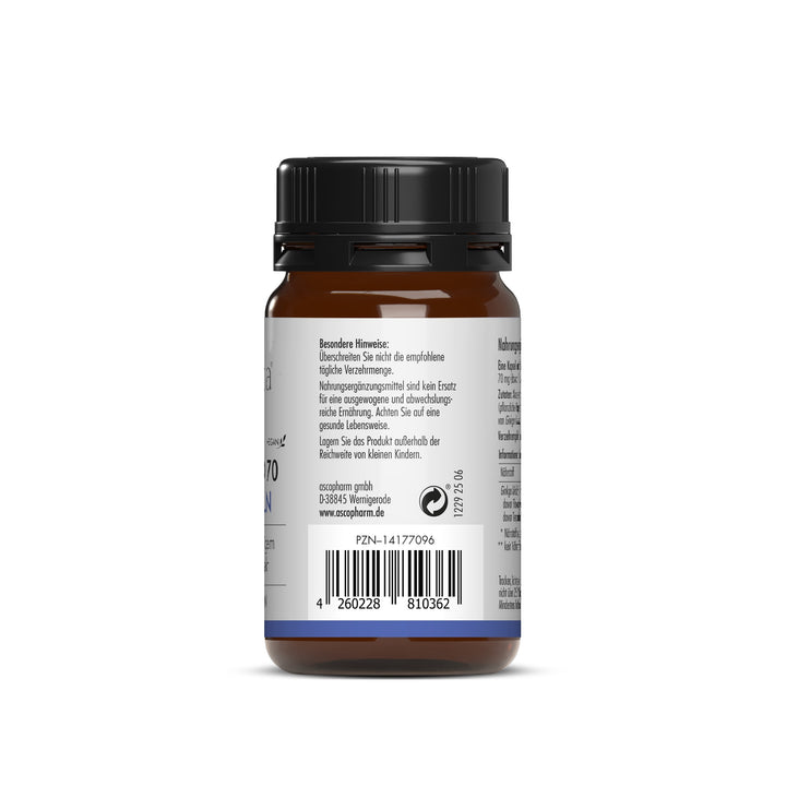 Rückseite der Ginkgo 70 Verpackung mit Barcode, PZN, Herstellerangaben sowie Warn- und Anwendungshinweisen