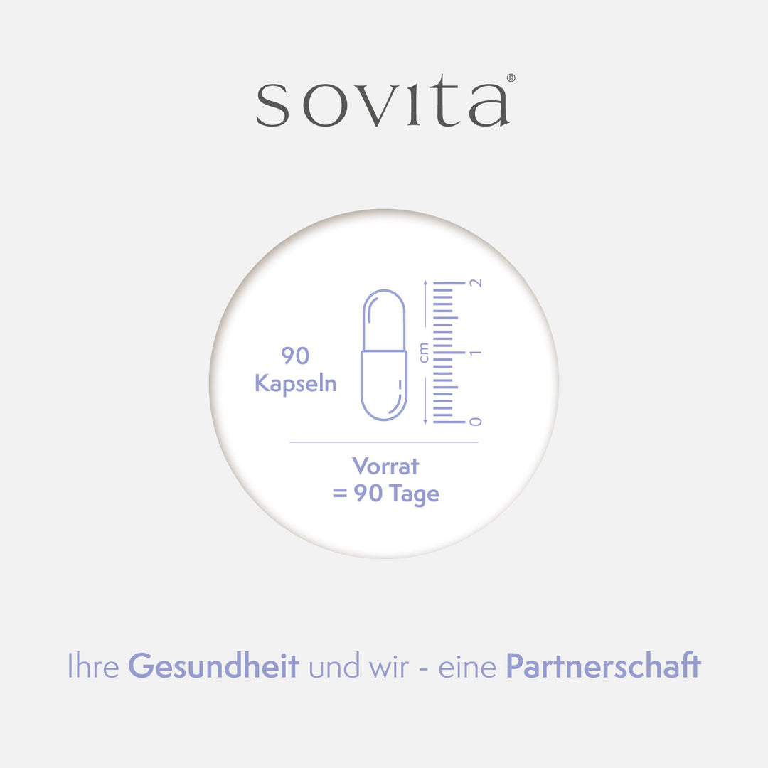 sovita Ginkgo 70 Kapseln