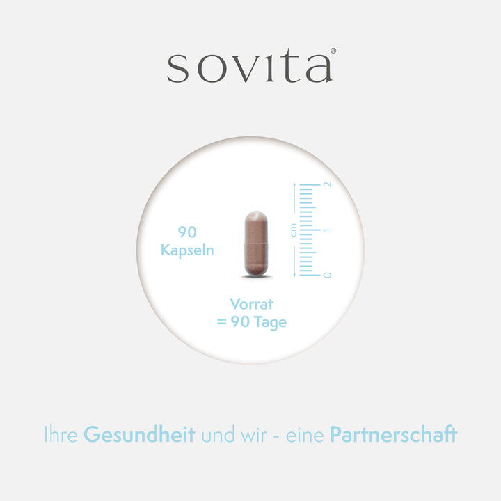 sovita Leber Komplex Kapseln