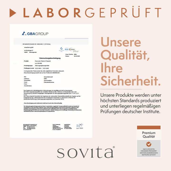 sovita Eisen Plus Vitamin C Kapseln
