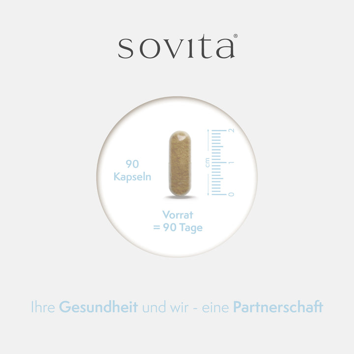 sovita Leber Komplex Kapseln