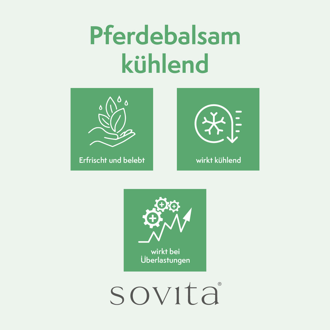 sovita Pferde-Balsam kühlend