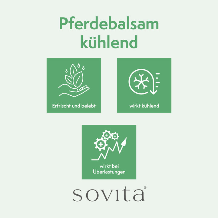 sovita Pferde-Balsam kühlend