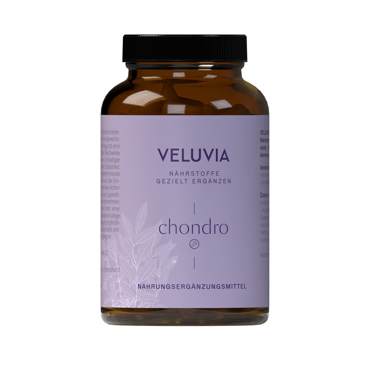 Veluvia chondro