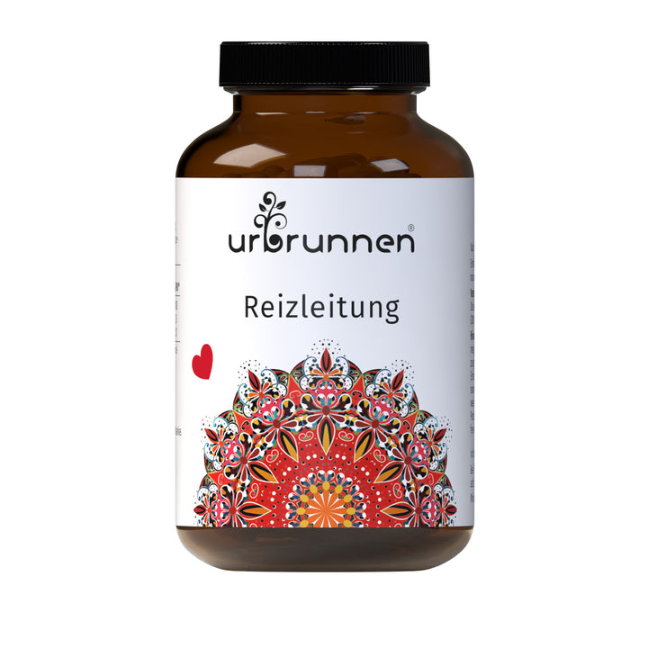 Urbrunnen Reizleitung